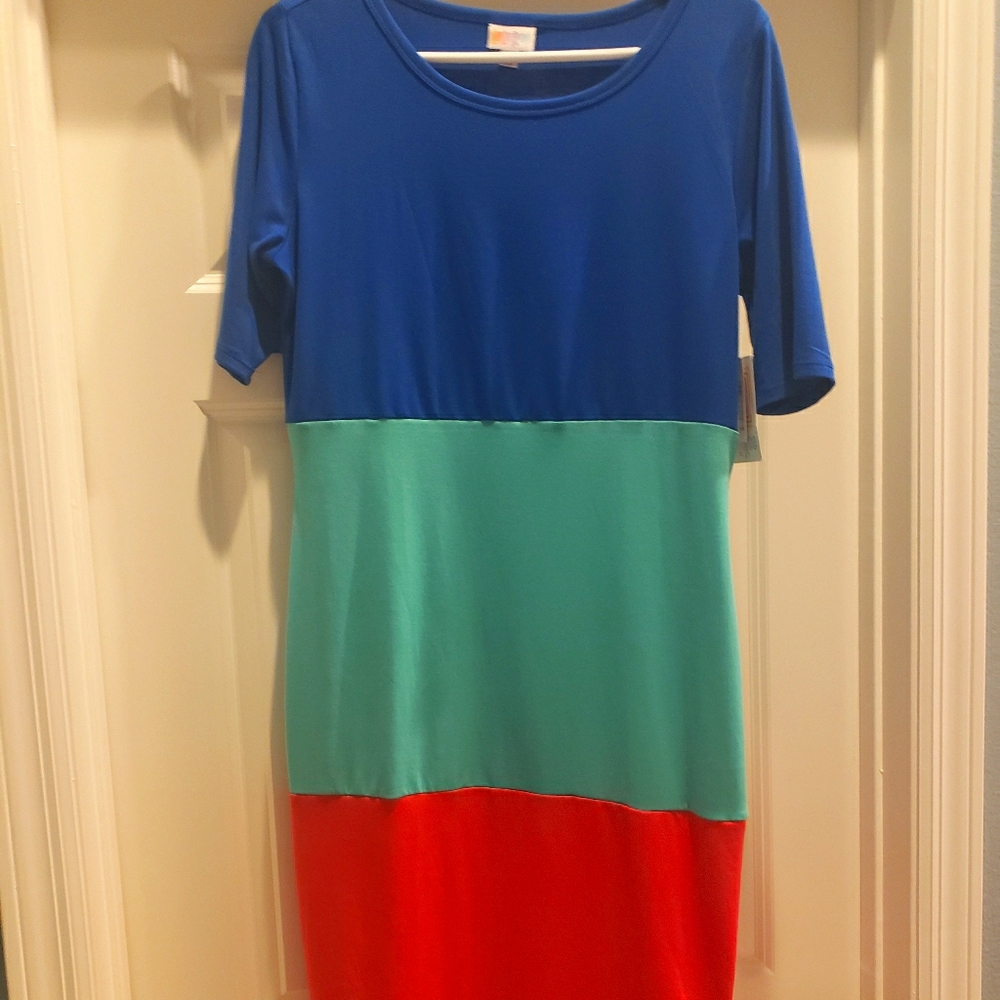 LulaRoe stretchy Julia dress M